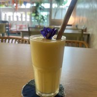 Mango smoothie  at Free Bird Cafe in Chiang Mai