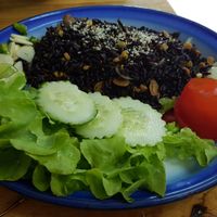 Burmese rice with tea leafs at Free Bird Cafe in Chiang Mai