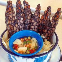 Tempeh  at Free Bird Cafe in Chiang Mai