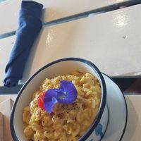 Mac and cheese - not so good at Free Bird Cafe in Chiang Mai