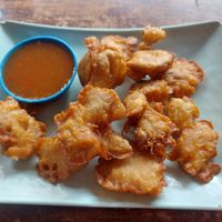 Fried lion's mane mushrooms at CMU Vegan - Kinphak Cafe in Chiang Mai