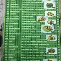 Menu at CMU Vegan - Kinphak Cafe in Chiang Mai