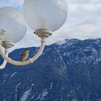  at Le Palme in Limone Sul Garda