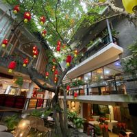  at Zenhouse in Ho Chi Minh City