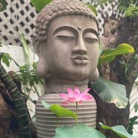  at Zenhouse in Ho Chi Minh City