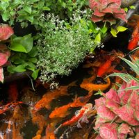  at Zenhouse in Ho Chi Minh City