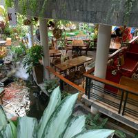  at Zenhouse in Ho Chi Minh City