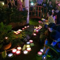  at Zenhouse in Ho Chi Minh City