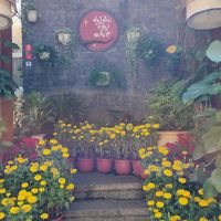  at Zenhouse in Ho Chi Minh City