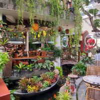  at Zenhouse in Ho Chi Minh City