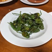 Pimientos del padron at Bar España in Mallorca
