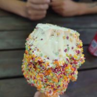  at Slottsparkens Grill & Ice Cream in Malmo