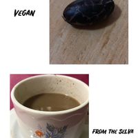 Vegan at Inti-Mikuna in Quito