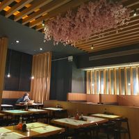  at Wagamama - S King St in Dublin