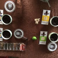  at Caribeans Coffee and Chocolate Factory in Puerto Viejo De Talamanca