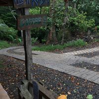 at Caribeans Coffee and Chocolate Factory in Puerto Viejo De Talamanca