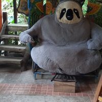 Cute at Caribeans Coffee and Chocolate Factory in Puerto Viejo De Talamanca