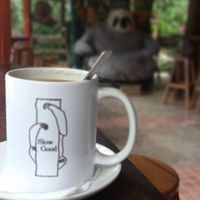  at Caribeans Coffee and Chocolate Factory in Puerto Viejo De Talamanca