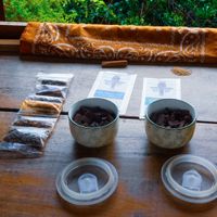   at Caribeans Coffee and Chocolate Factory in Puerto Viejo De Talamanca