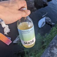 Maté at Kiss The Ground in Geneva