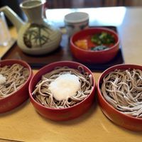 Grated radish(Oroshi), yam(Tororo), and plain soba with condiments  at Yakumo Honten in Izumo
