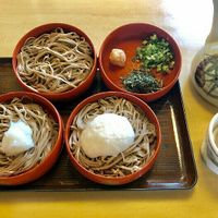 Veggie WARIGO SOBA with SOBA YU at Yakumo Honten in Izumo