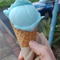  at Blue Cow in Port Macquarie