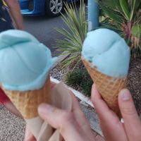  at Blue Cow in Port Macquarie