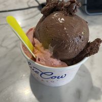   at Blue Cow in Port Macquarie