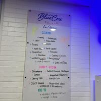   at Blue Cow in Port Macquarie