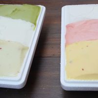 6 out of 8 vegan sorbets that day at glt gelato - ㅈㄹㄸ in Seoul