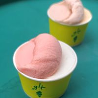 Vegan sorbets: watermelon & Korean melon at glt gelato - ㅈㄹㄸ in Seoul