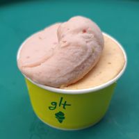 Vegan sorbets: Plum & Nectarine at glt gelato - ㅈㄹㄸ in Seoul