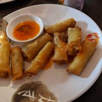 Spring rolls at Thaise Snackbar Bird in Amsterdam
