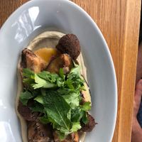 sabich (21.) w falafel (7.- extra), grilled hummus, fried eggplants, tahini, cilantro  at NENI - Langstrasse in Zurich