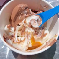 Vegan chocolate & vanilla frozen yogurt   at 16 Handles in Stamford