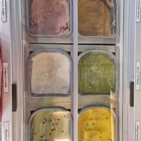 Available flavours ~ 16/6/22 ~ Vegan Ice Cream at Sasco Cafe in North Singapore