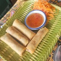 Spring rolls at Goulburn Thai in Goulburn