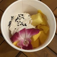 mango sticky rice   at Earth Plant Based in Phoenix