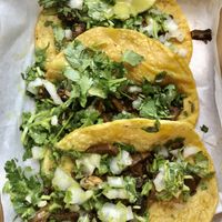 Carnitas at Earth Plant Based in Phoenix