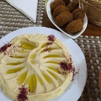  at Palm Court in Wadi Musa