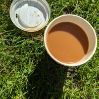 Chai £2 at Chai Walla in Cambridge