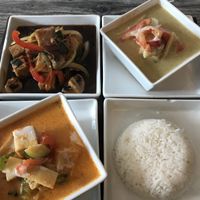 Tofu with peppers and cashews (top left), tofu green Thai curry (top right), tofu red Thai curry (bottom left), jasmine rice [lunchtime combo menu] at Everyday Thai in Bristol
