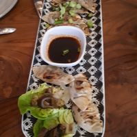 Starter at Studio Vert  in Laroque-des-alberes