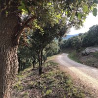 Bergpad  achter Studio Vert 66  at Studio Vert  in Laroque-des-alberes