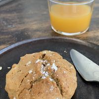   at Studio Vert  in Laroque-des-alberes