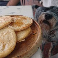 "" at Studio Vert  in Laroque-des-alberes