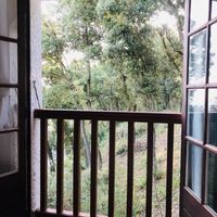 Forest room  at Studio Vert  in Laroque-des-alberes