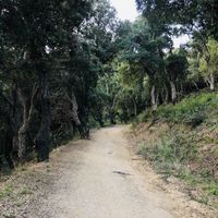 Daily hikes  at Studio Vert  in Laroque-des-alberes