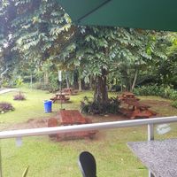 Outdoor seating at Pan & Canela Cafe in Panama City